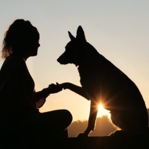 friendship-4499076_1920 friendship-4499076_1920