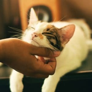 yerlin-matu-GtwiBmtJvaU-unsplash yerlin-matu-GtwiBmtJvaU-unsplash