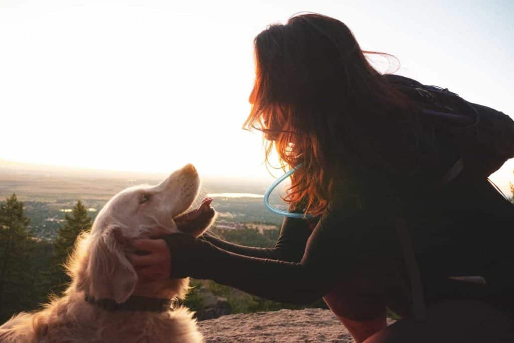 accompagner le gardien et son animal