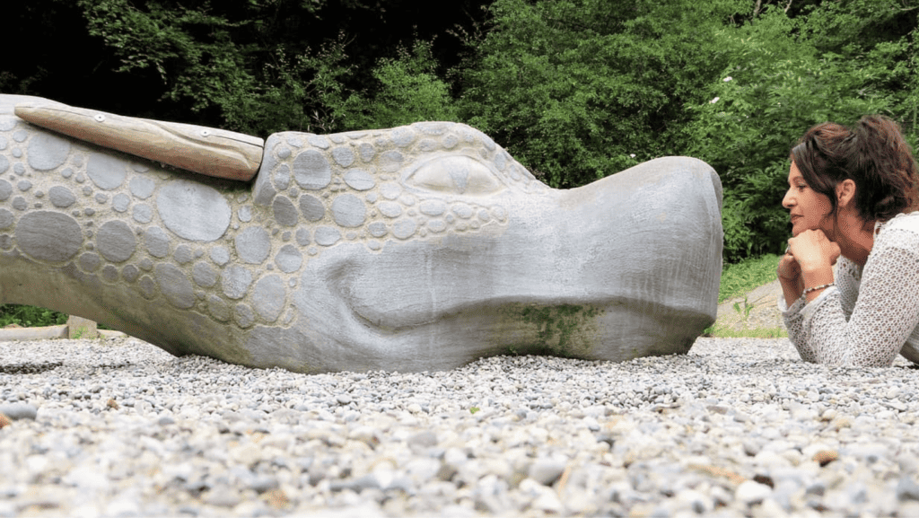 Communication animale Posons les bases