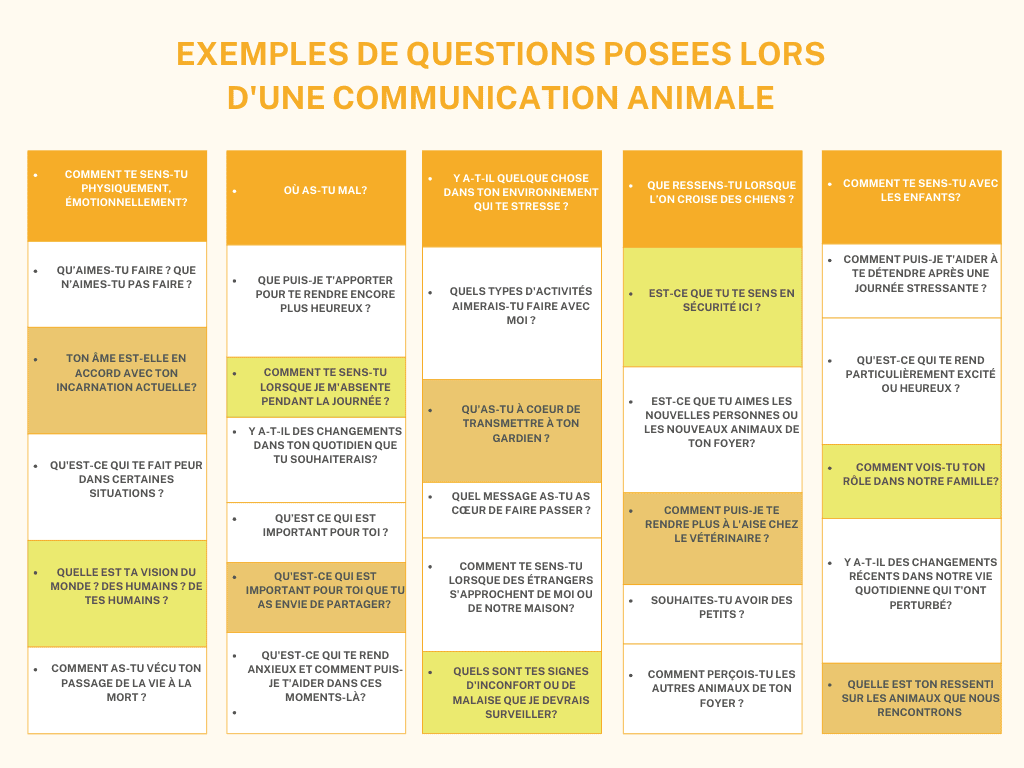 Exemples de questions posées en communication animale