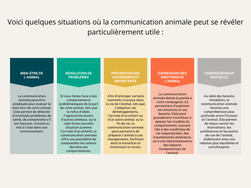 quand faire une communication animale