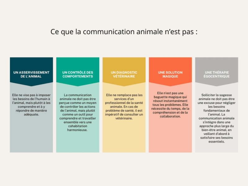 Ce que la communication animale n'est pas