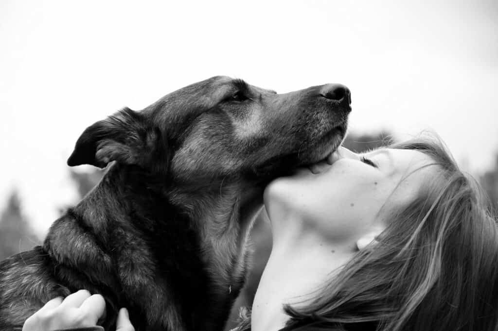 communication animale amour inconditionnel