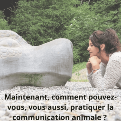 N'héistez pas à partager cette image si vous le souhaitez...