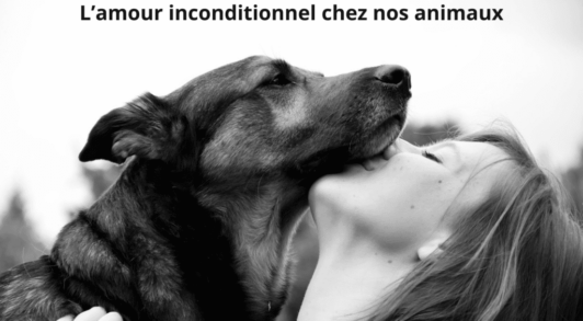 communication animale amour inconditionnel