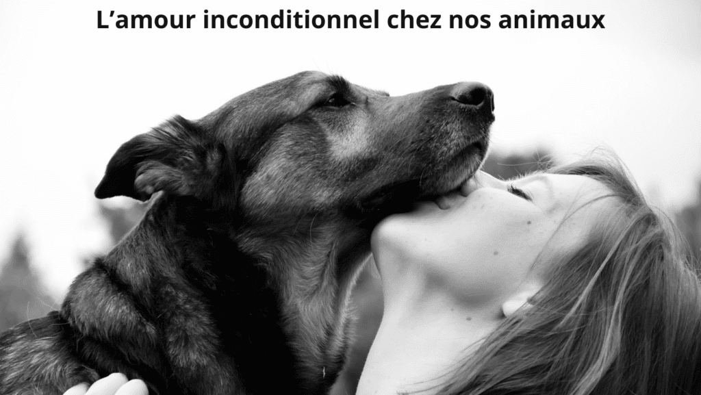 Communication animale amour inconditionnel