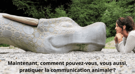 Communication animale pratique