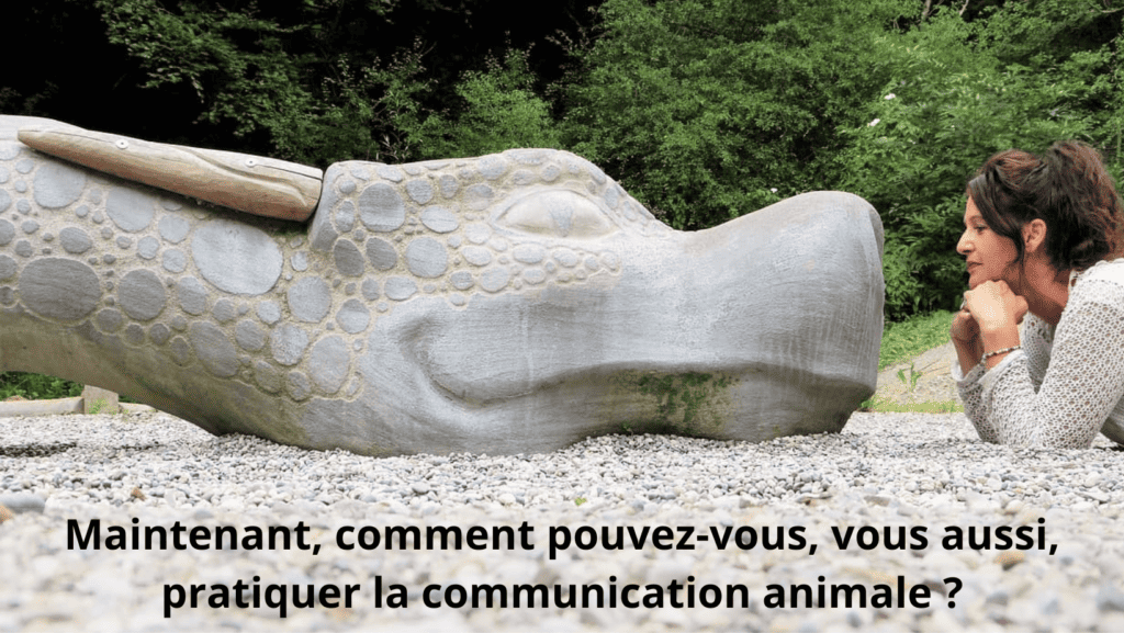 pratiquer la communication animale