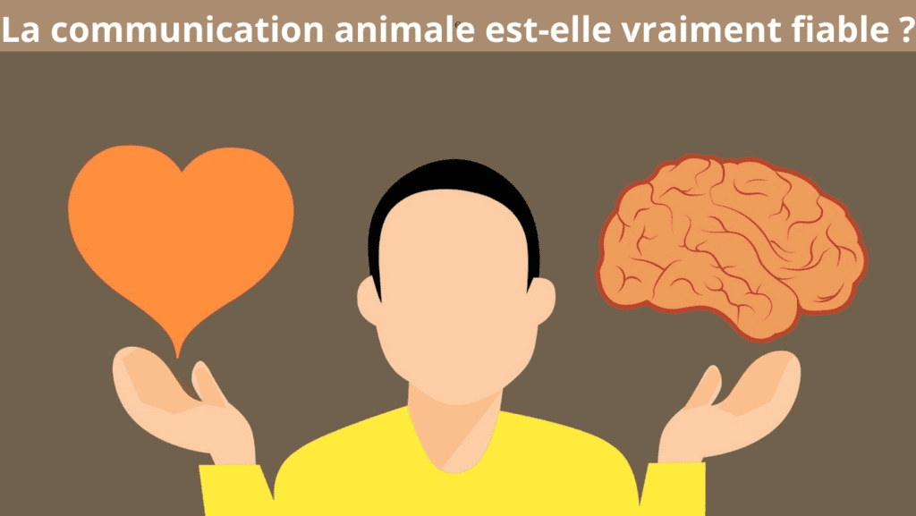 la communication animale est elle fiable